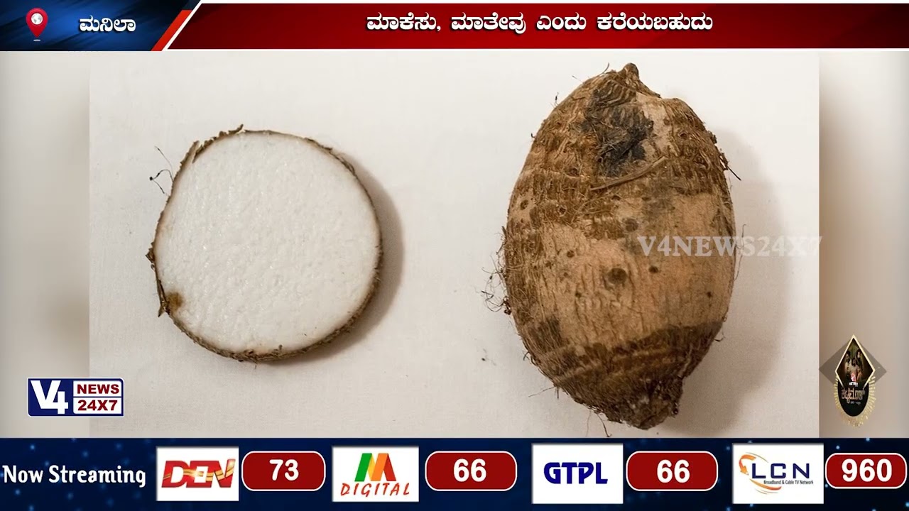 ತುಳುನಾಡಿನ ವಿಶೇಷ ದಿನದ ಅಡುಗೆಗಳಲ್ಲಿ ಬಳಸುವ ಮುಂಡಿ ಕೆಸು