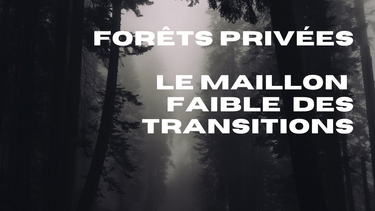 Forêts et changement climatique : comment faire des enjeux carbone une opportunité ?