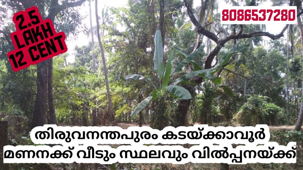 Trivandrum kadakkavoor  ,Attingal kadakkavoor routil mananakku kazhinju gandhimukku#landforsale