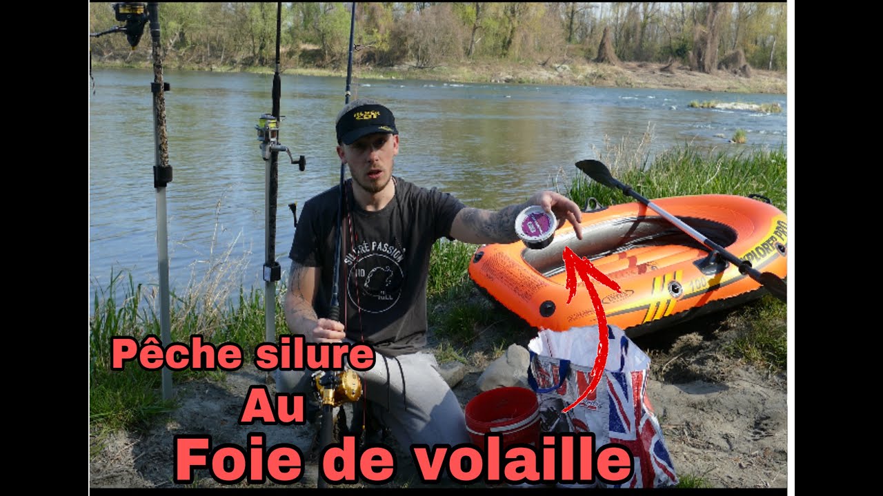 Pêche silure au cassant #21 
