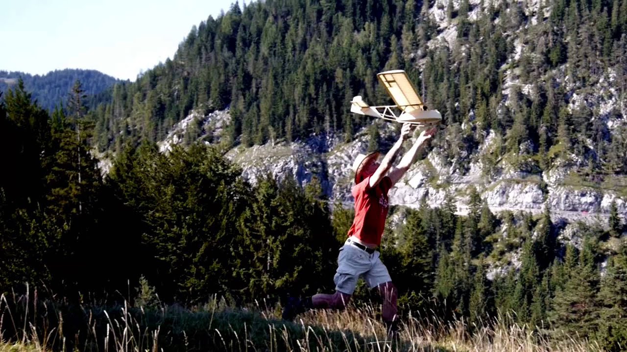 Moosberg 2015 - Modellflug