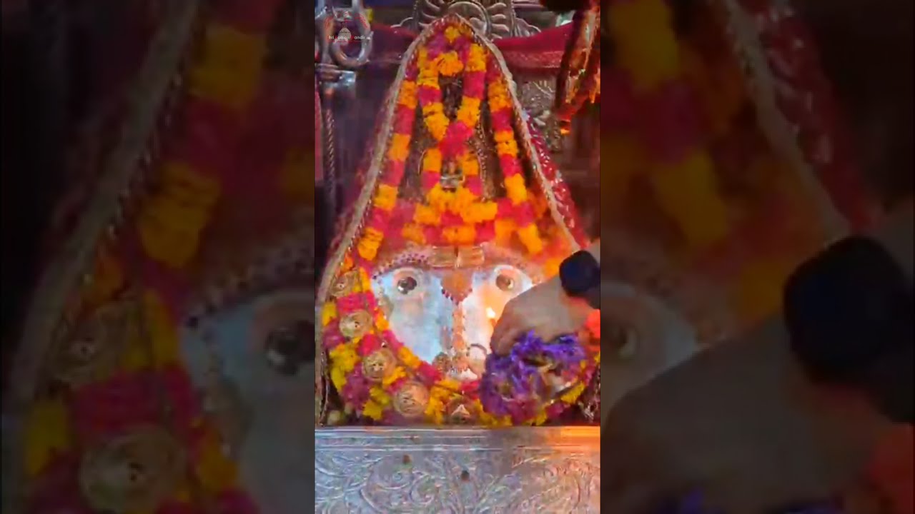 February 22, 2026 | Evening Darshan | Jai Kalka Maa | #yashbjkm | #kalkajimandir | #dailydarshan 