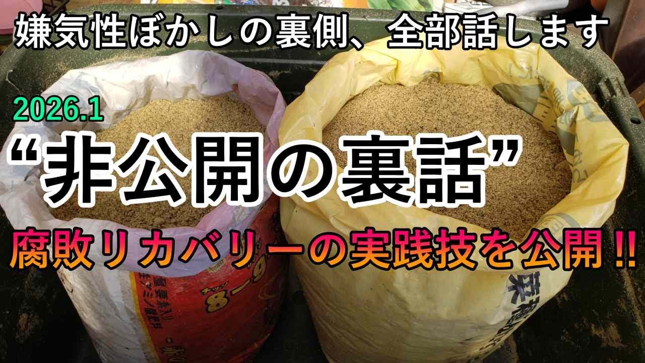 【2026年版】嫌気性米糠ぼかし完成ぼかし腐敗リカバリー法から現場の裏話まで徹底公開