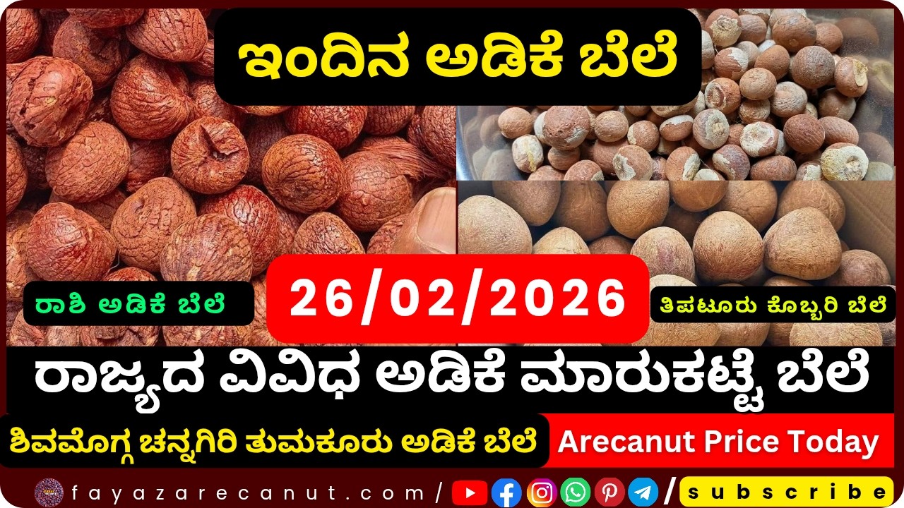 Arecanut Price Today &ndash; 26 February 2026 | Shivamogga Adike Market | Tiptur Copra Tender