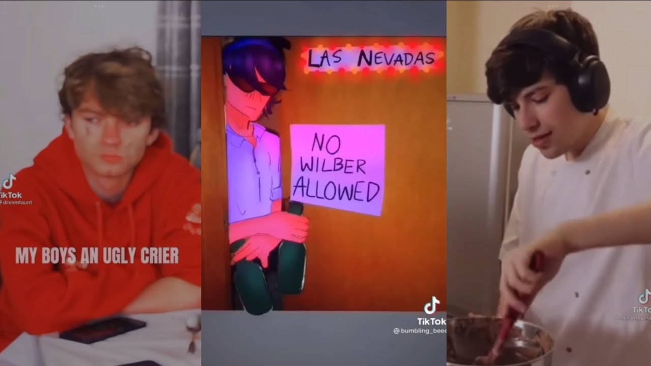 mcyt tiktoks that made tommyinnit get off wilburs screen 📺