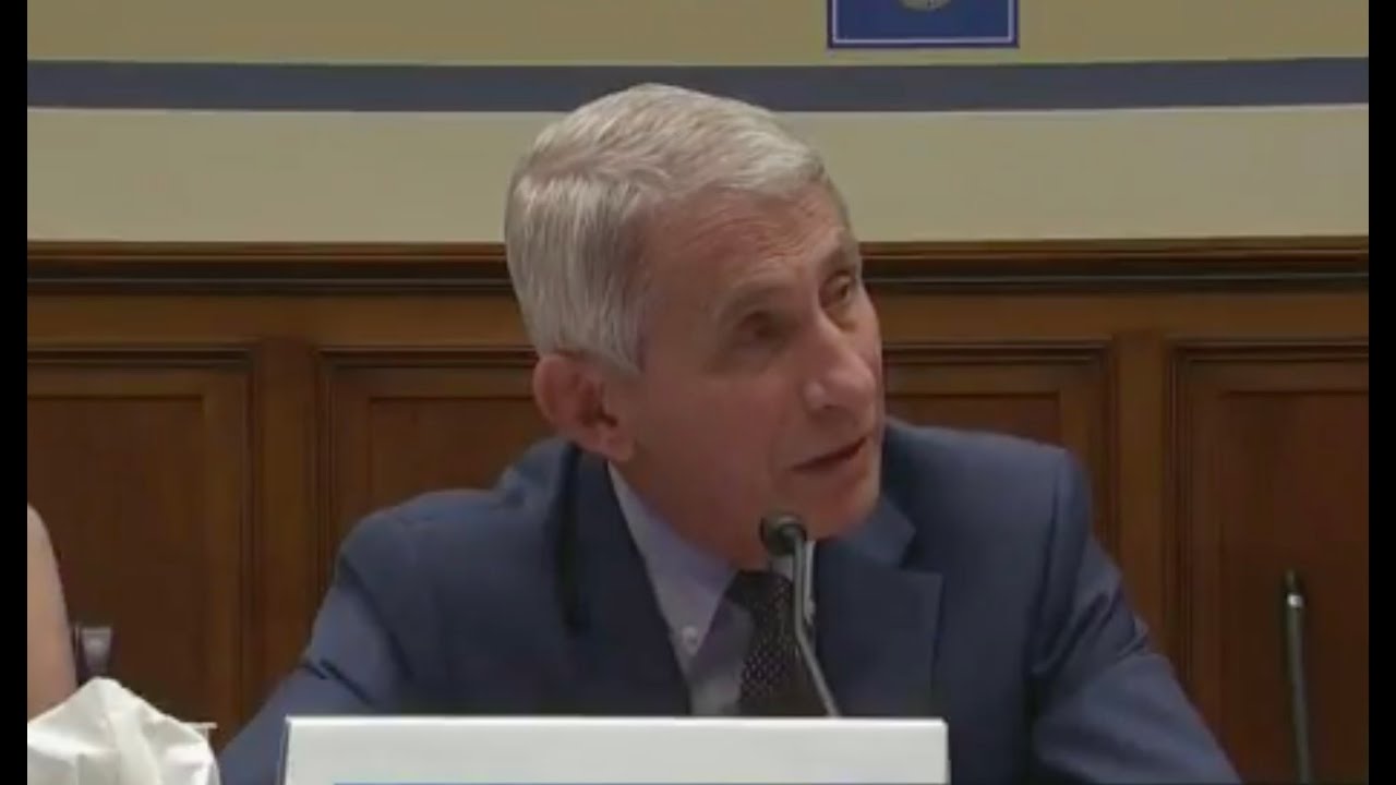 Republican tries to lecture Dr. Fauci on hydroxychloroquine and it backfires MISERABLY