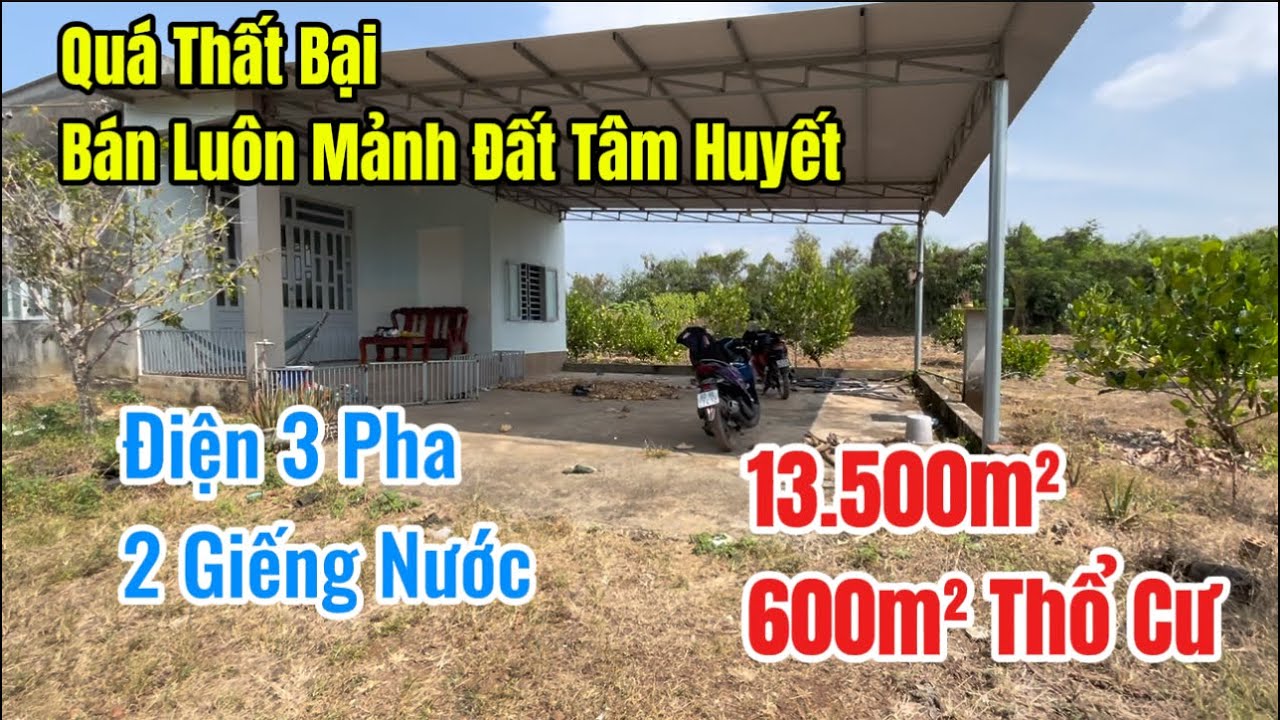 Làm Ăn Thất Bại Sai 1 Ly Đi Nguyên Mảnh Đất, Nay Chủ Đang Rất Kẹt Và Cần Bán Gấp