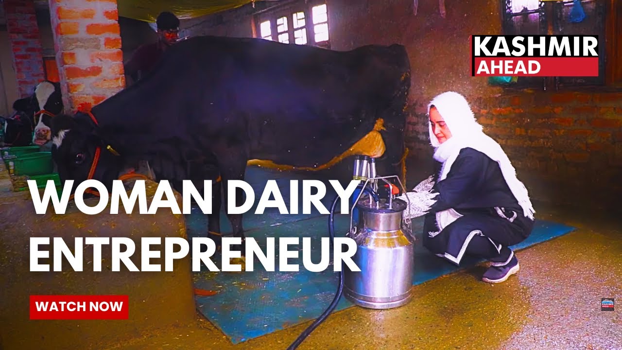 Pulwama woman applies for Integrated Dairy Development Scheme, starts earning from her dairy farm