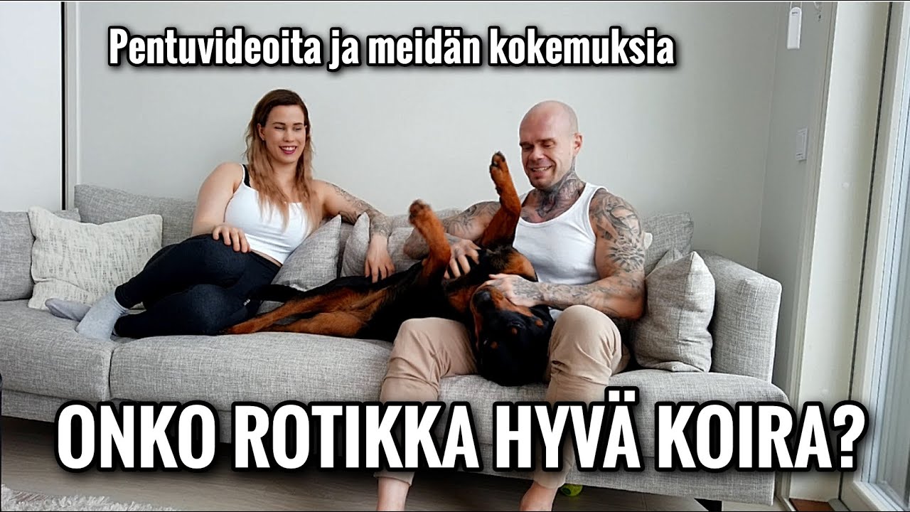 ONKO ROTTWEILER HYVÄ KOIRA? | HENEBHM
