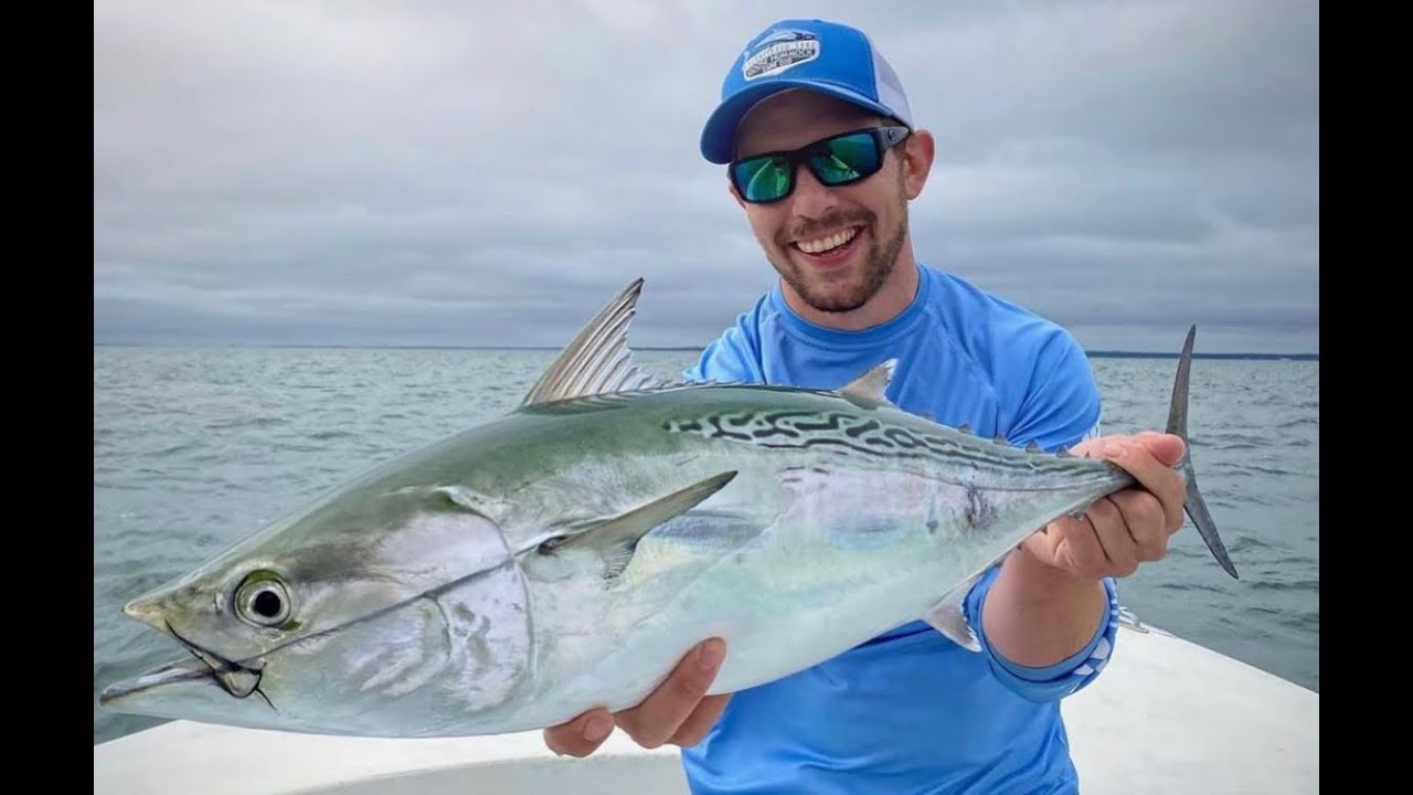 Our Top Albie Lures to catch more fish!