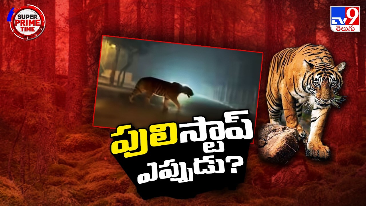 తెలుగు రాష్ట్రాలను హడలెత్తిస్తోన్న పెద్దపులులు - TV9