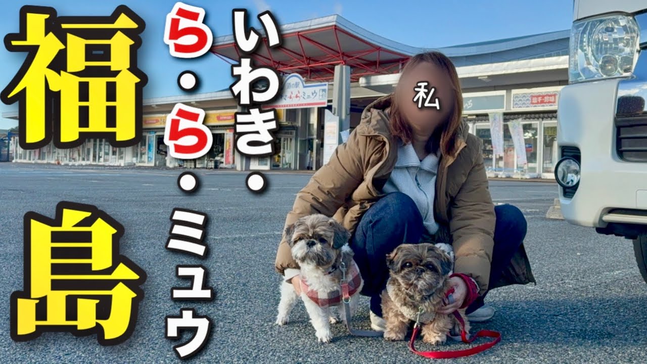 【犬連れ車中泊】この道の駅最高でした！大人気のいわき・ら・ら・ミュウを愛犬達と満喫
