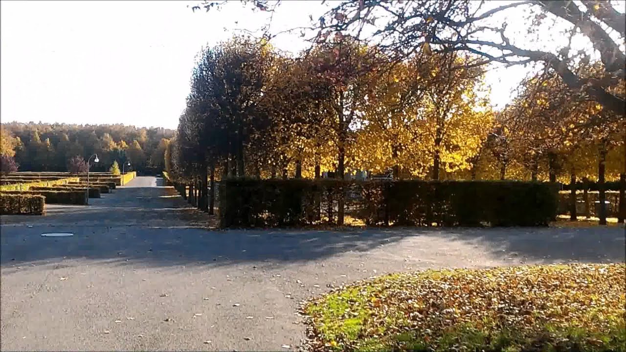 Colors of autumn in Sweden! | Beautiful Swedish Autumn!