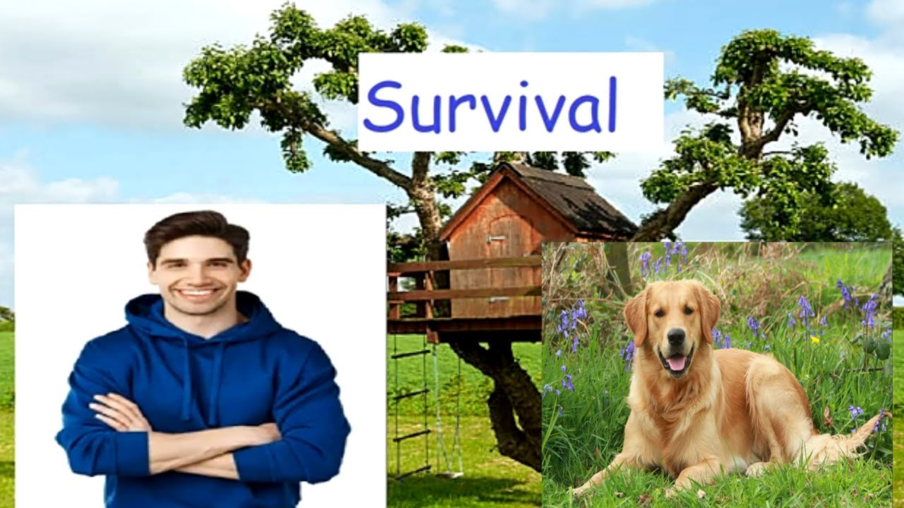 FNF VS Tord Red Fury [ Survival but Chikn Nuggit sings it. ]