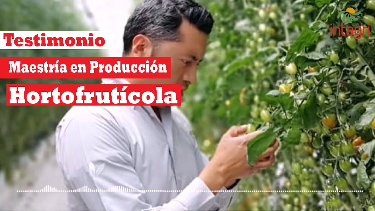 Testimonio Maestr&iacute;a en Producci&oacute;n Hortofrut&iacute;cola - MPH. Juan Pablo.