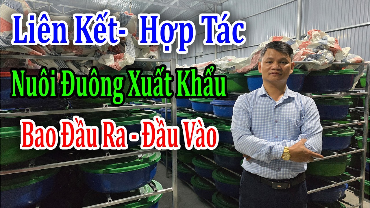 Liên Kết Hợp Tác Nuôi Đuông Xuất Khẩu Trang Trại Bao Tiêu Đầu Ra,Hỗ Trợ Đầu Vào Cho Bà Con Chăn Nuôi