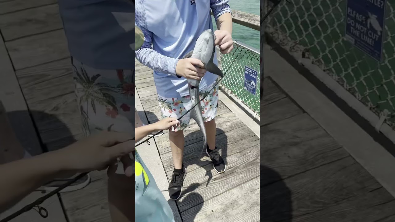 Ocean fishing 