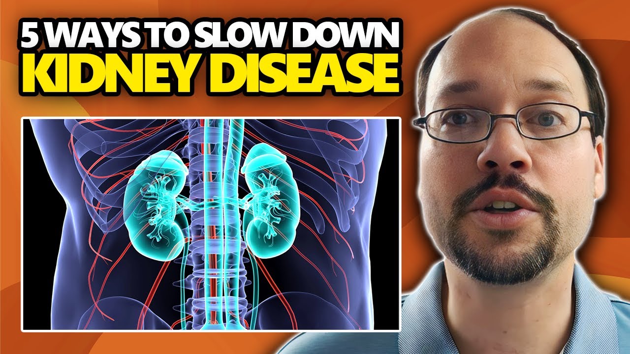 5 Scientific Ways To Slow Down Kidney Disease. Slow The Progression Of Chronic Kidney Disease