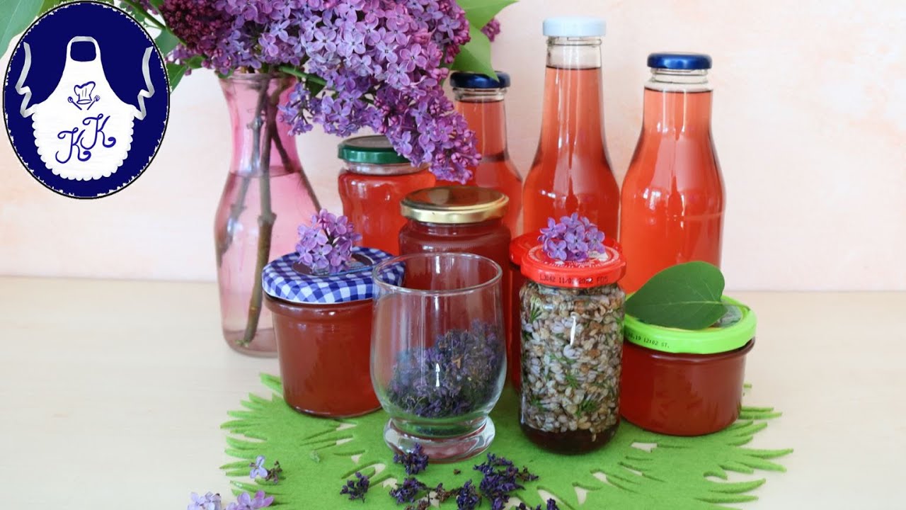 4 tolle Rezepte aus Flieder / Sirup /Gelee / Tee / Hausmittel