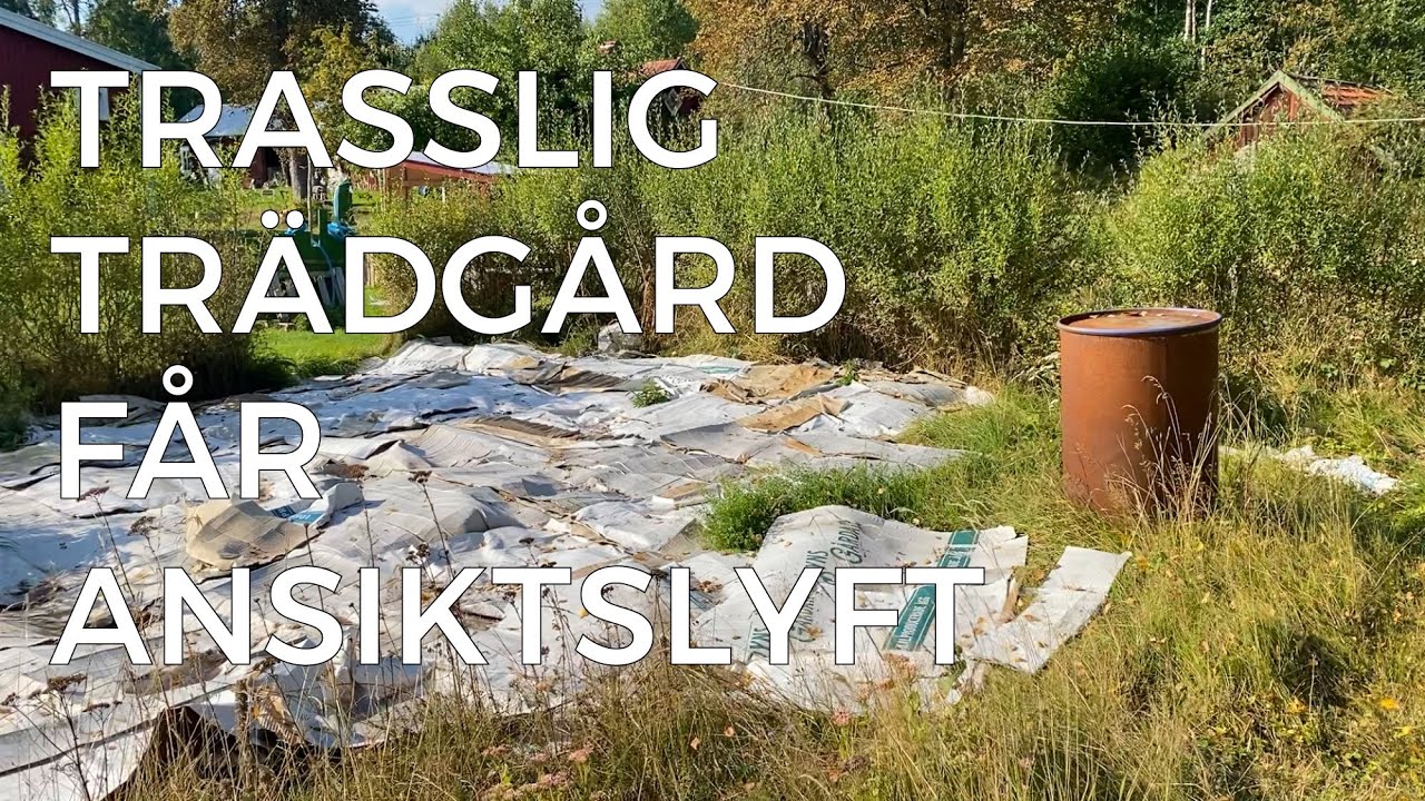 Skapar ÖRTTRÄDGÅRD - Del 1