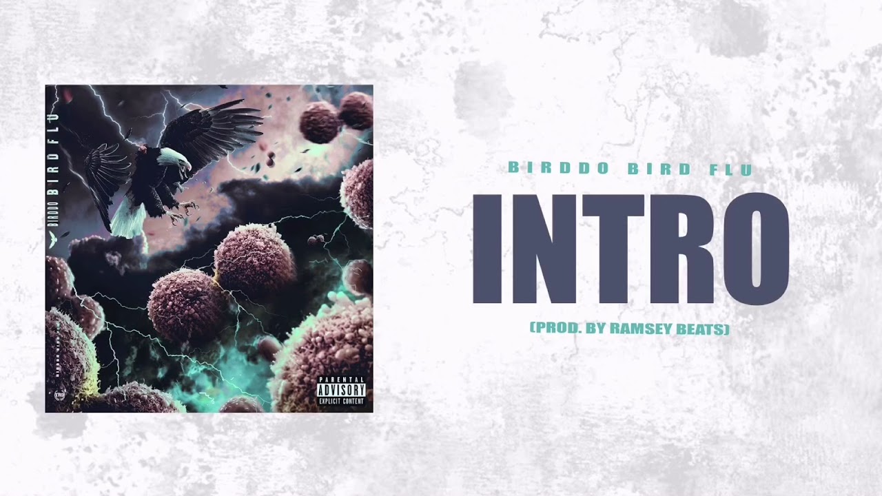 Birddo - Intro