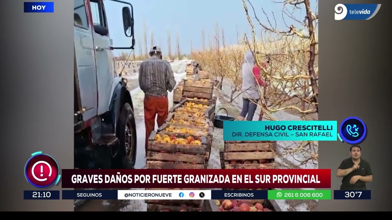 Impactantes imágenes: lo que dejó la tormenta de granizo en San Rafael