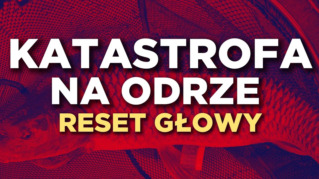 330 KATASTROFA NA ODRZE I RESET GŁOWY 😑
