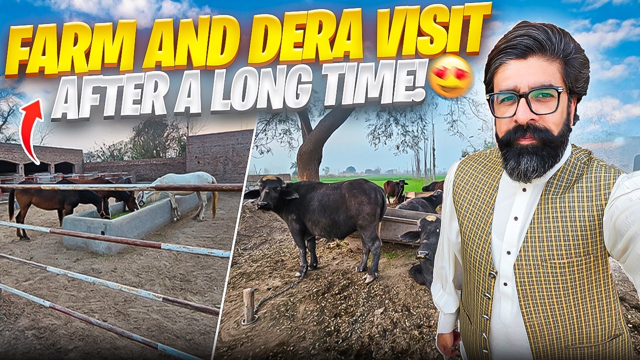 FARM AND DERA VISIT AFTER A LONG TIME 😍 | Faisal Lali Vlogs
