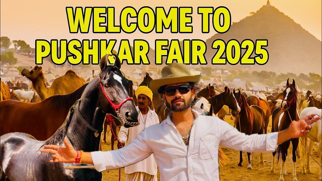 PUSHKAR MELA 2025 МИР ЛОШАДЕЙ / #лошадь #ashupanditpushkar