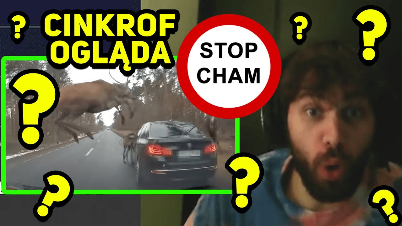 🚔 CINKROF OGLĄDA - STOPCHAM *OSTRE* 🚔