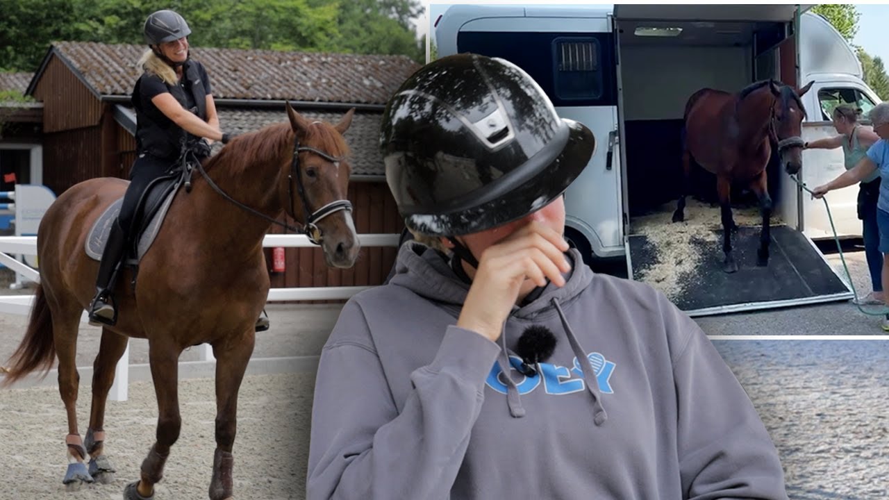 Joeys Ankunft im neuen Zuhause – Ariane galoppiert zum ersten Mal auf Jack