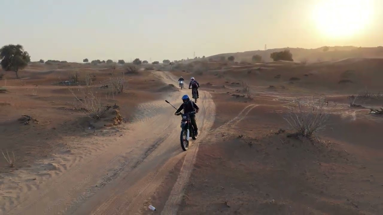 ٢١ يناير ٢٠٢٦