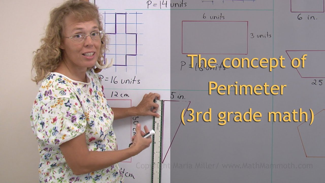 Concept of perimeter (3rd grade math)