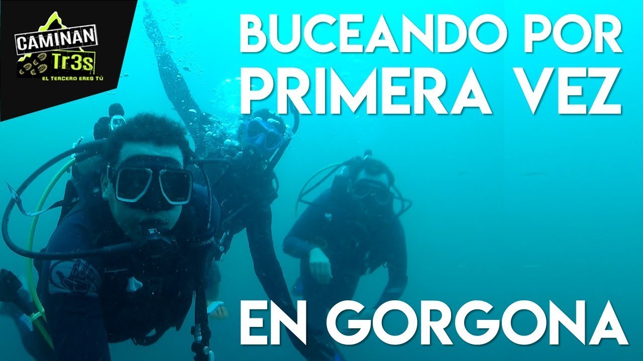BUCEO EN GORGONA el mejor lugar de Colombia || CaminanTr3s, El tercero eres tú!!