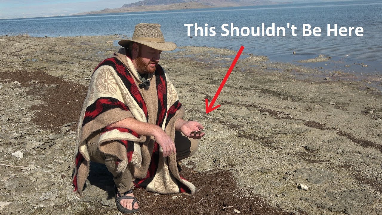 Desert Lore: An Island in the Desert with Primeval Life