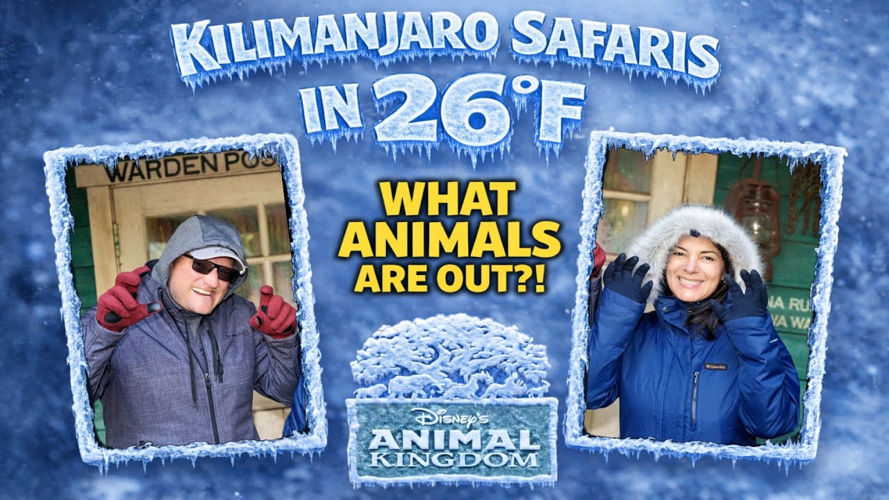 Kilimanjaro Safaris POV in FREEZING Temps (26°F, Wind Chill 14°F) | What Animals Are Out?