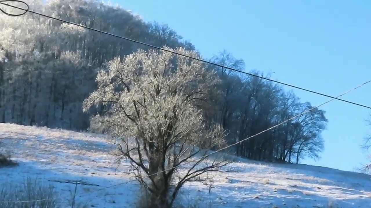 Nature's Beauty - 27 Jan 2026