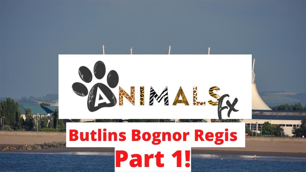 Animals FX Part 1 Butlins Bognor 2020