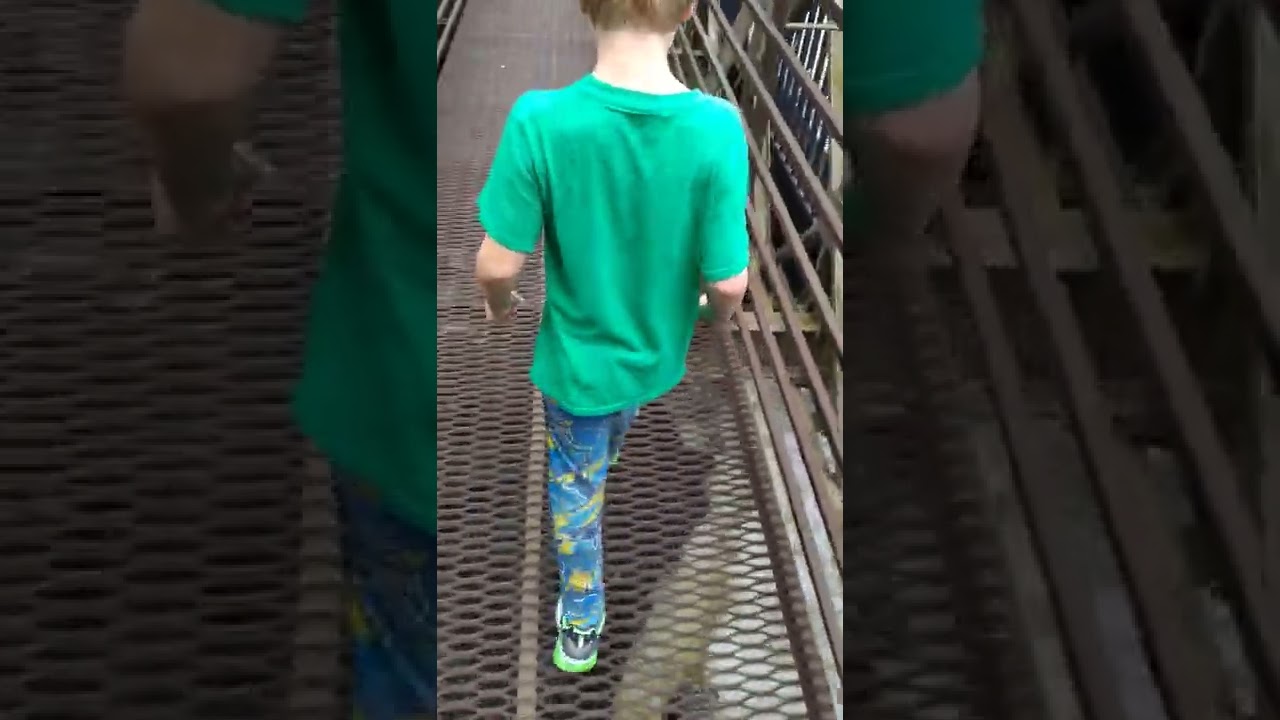 #shorts NIGHTMARE Bridge