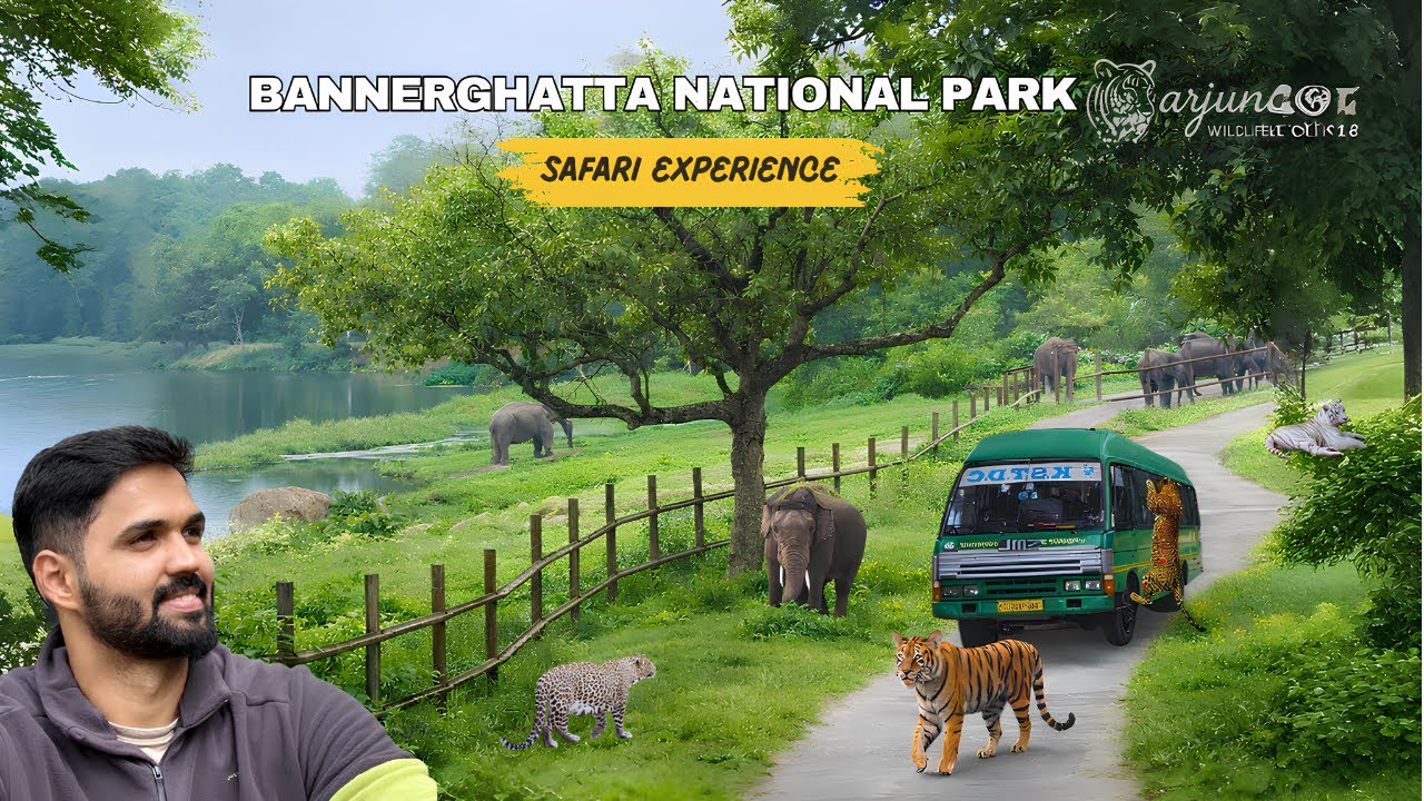 Bannerghatta Safari Bangalore 🦁 | Zoo Wildlife Adventure with Tigers, Lions & Leopards