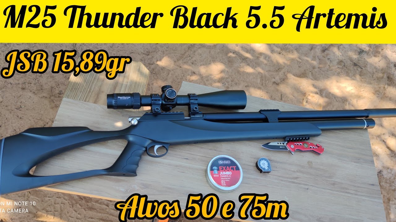 CARABINA M25 THUNDER BLACK 5.5 ALVOS 75M LUNETA WHEST HUNTER 6-24X50FFP CHUMB JSB 15.89GR
