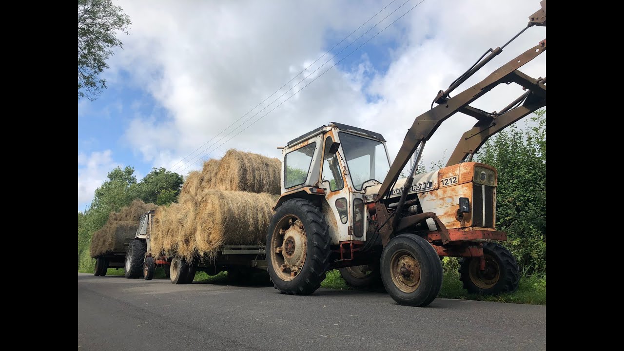 My Summer Farming 2019