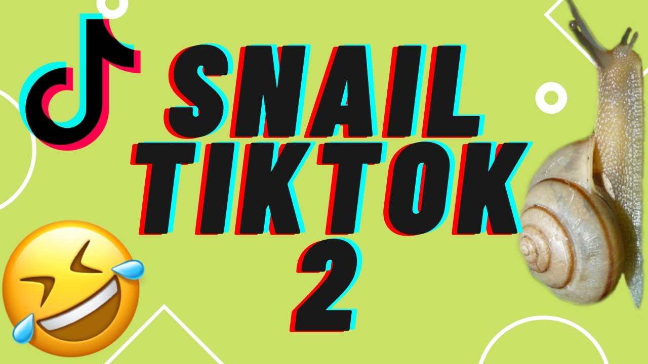 Funny TikTok Compilation: Snail Edition 2