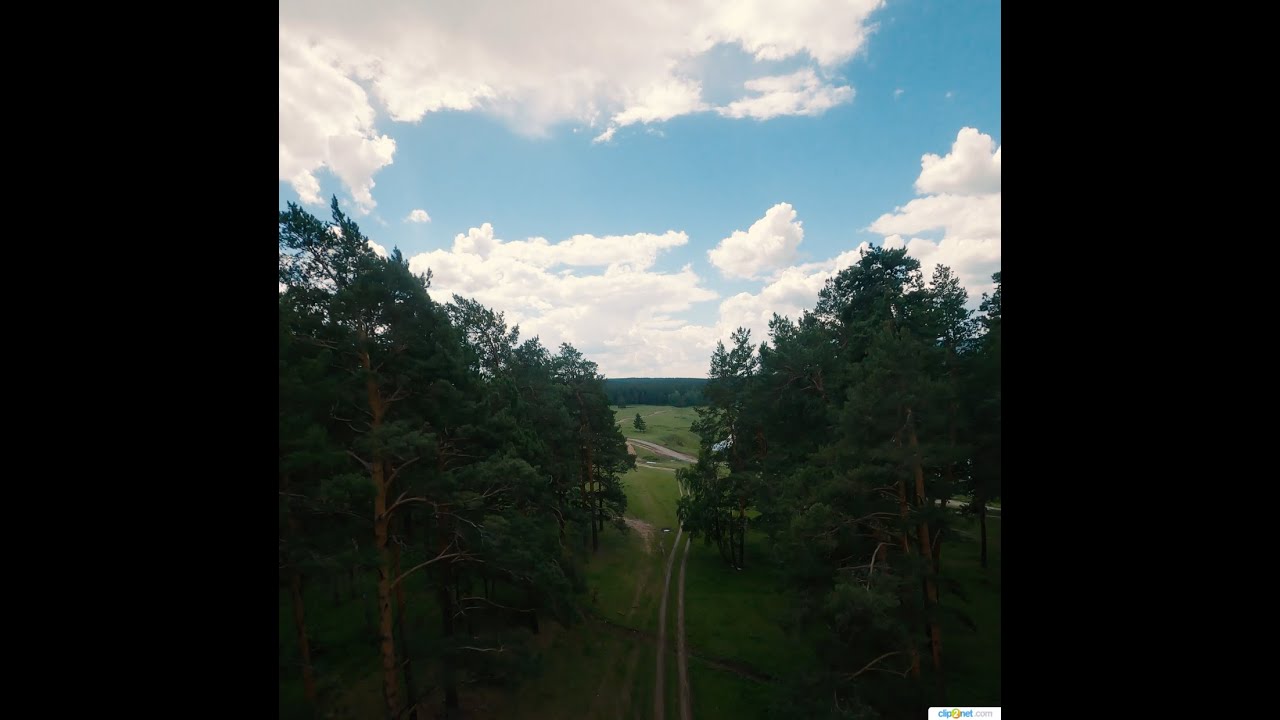 Forest FPV