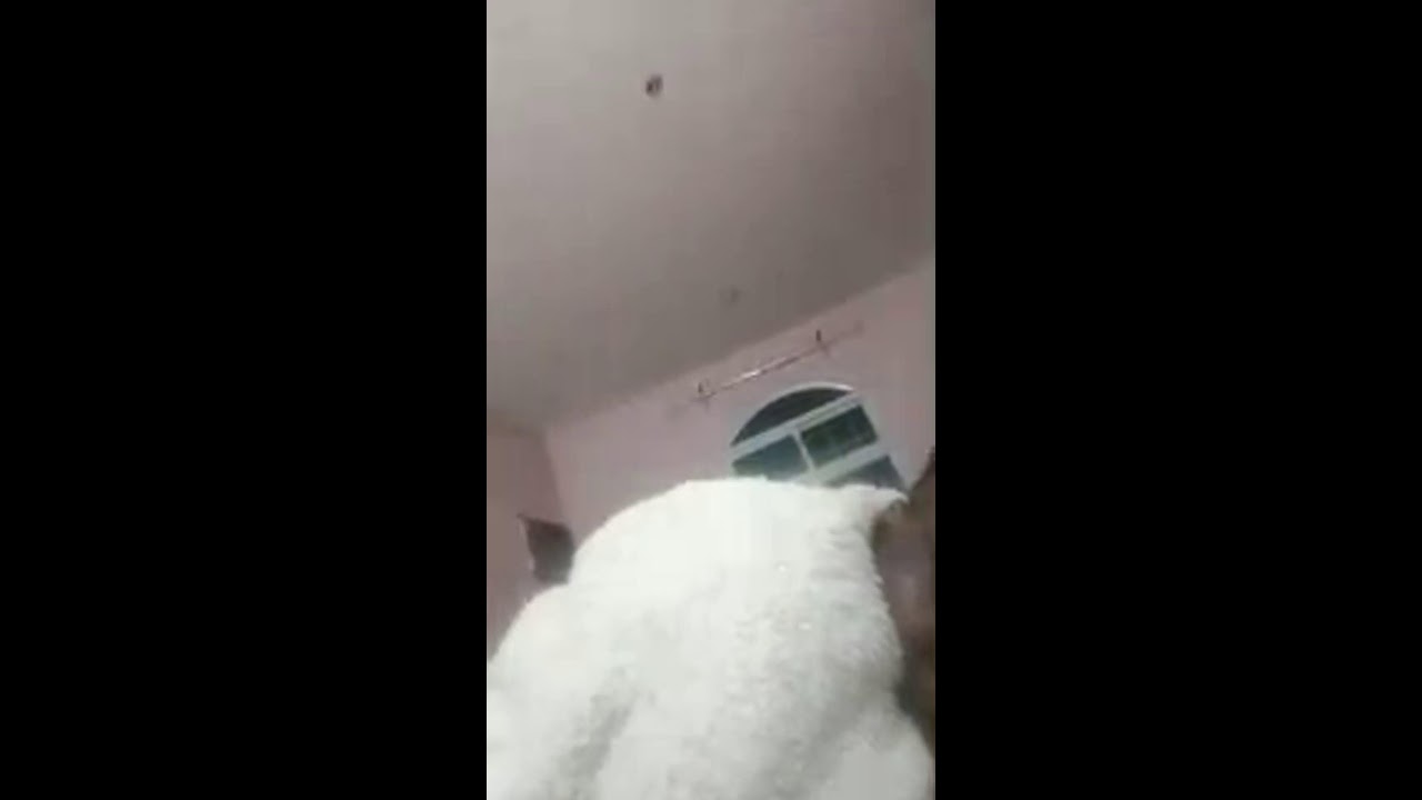 Sleep time silent live stream