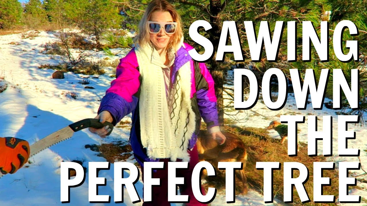 I SAWED DOWN A CHRISTMAS TREE! | VLOGMAS DAY 16