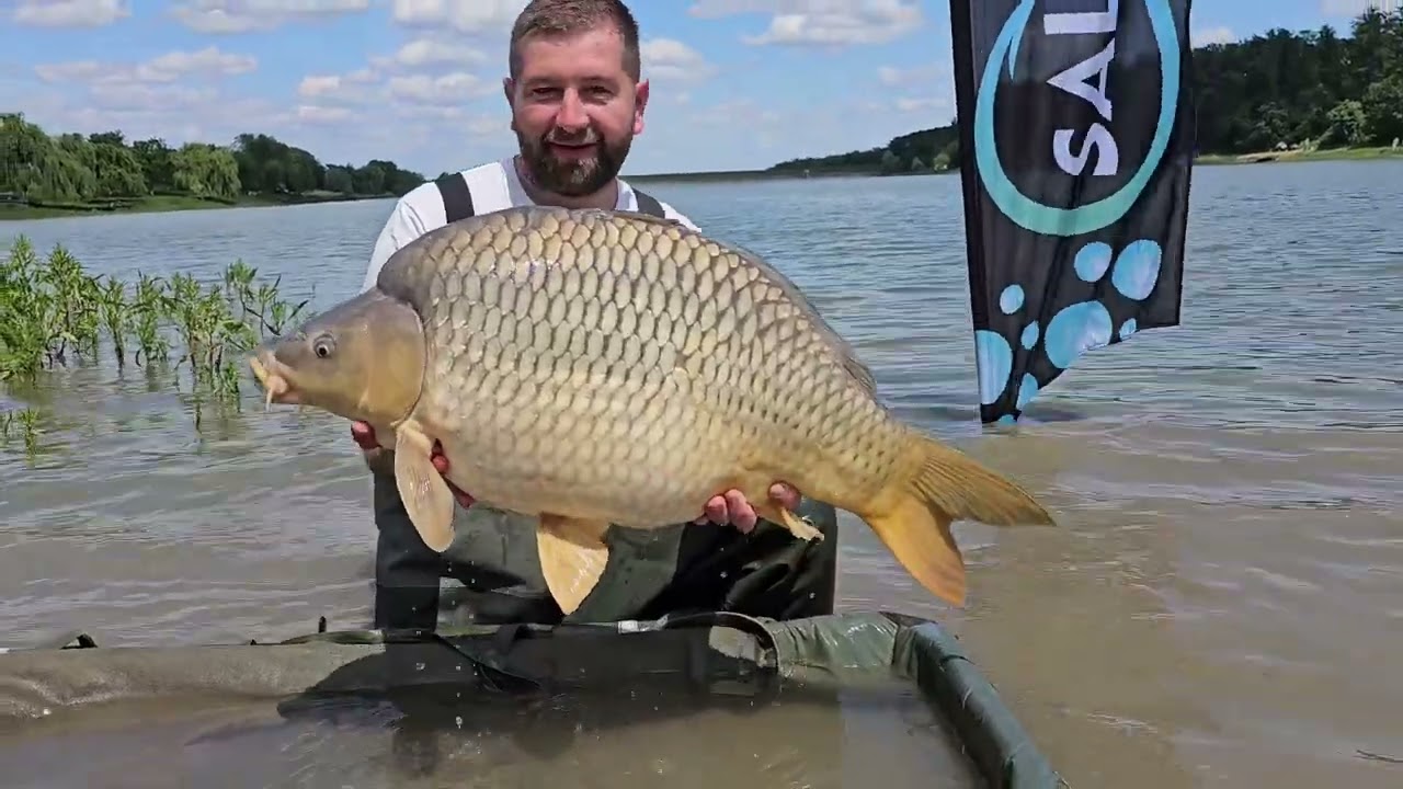 Cetariu.....😍😍😍 #cetariu #salmon20plus #carpfishing  #carpfishing #carp #fish #angling #fishinglife 