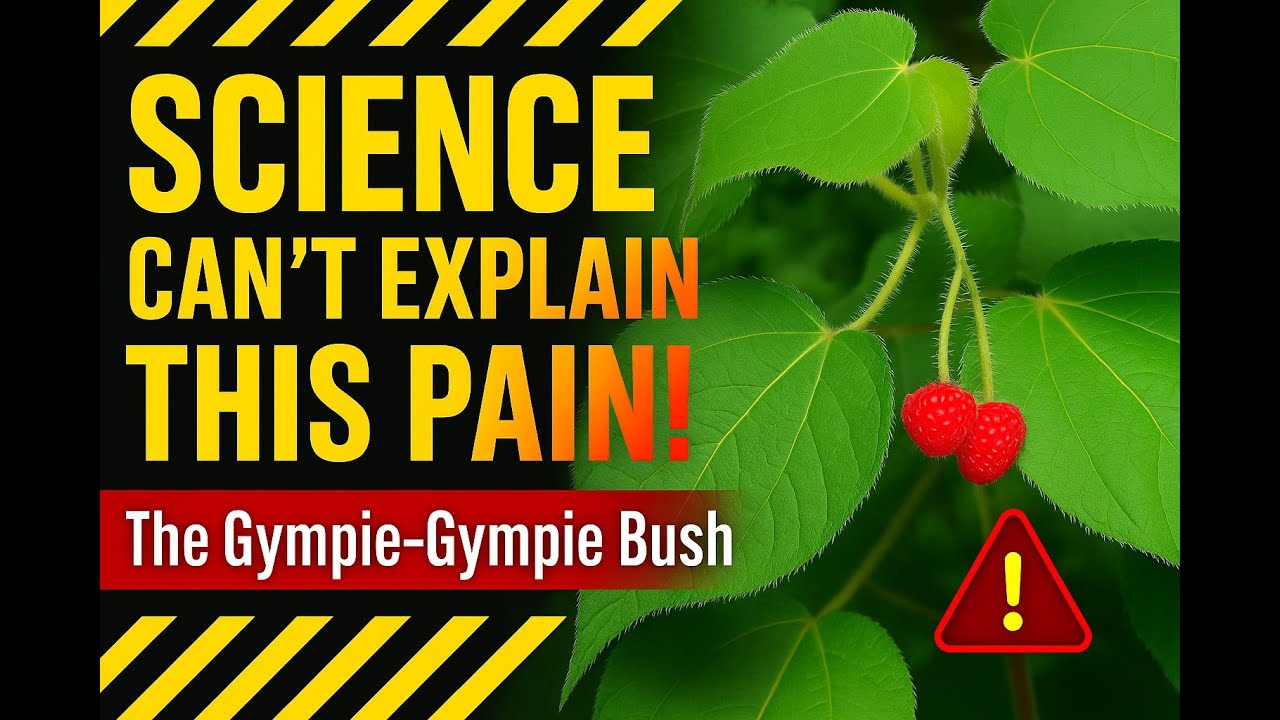 Gympie-Gympie: Nature’s Most Painful Plant – Episode 3 | Science Explains the Agony