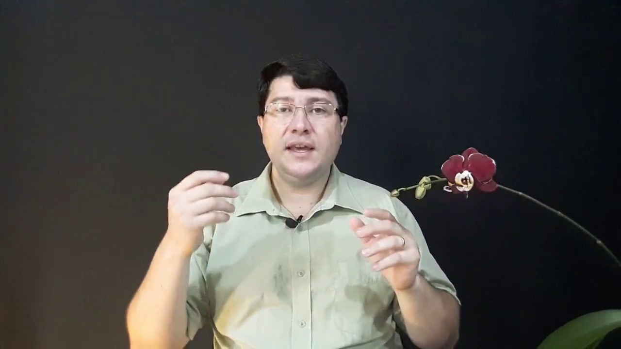 Espaços Mentais e Espaço Mental Real em Libras