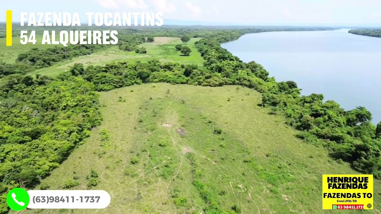 FAZENDA NO TOCANTINS BEIRA RIO (63)98411-1737